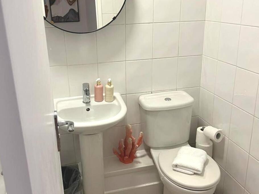 Aisiki At Tottenham Hale, 4-bedroom And 2-bathroom, Pet-friendly Duplex Flat, King Or Twin Beds With Free Wi-fi & Parking Space Appartement *